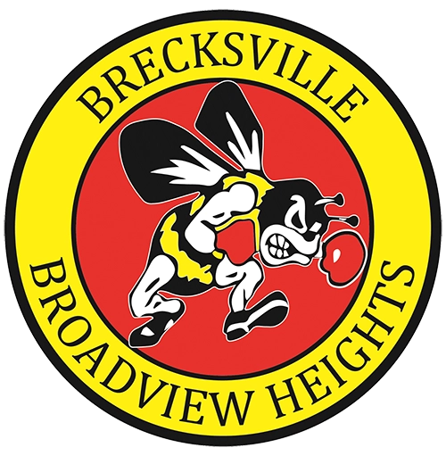 Brecksville Broadview Heights Bees Football