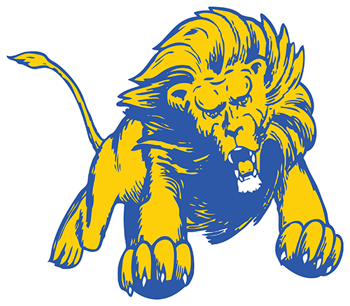 Notre Dame Cathedral Lions Football