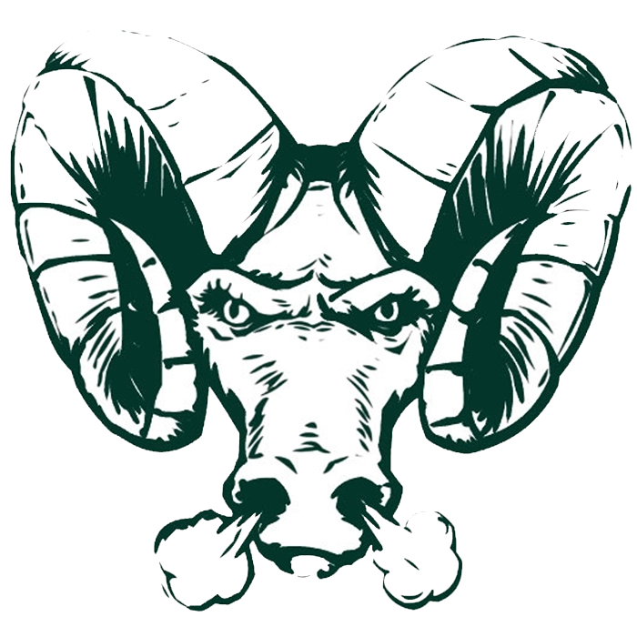 Pine Richland Rams Football